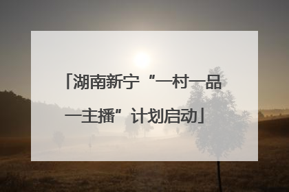 湖南新宁“一村一品一主播”计划启动