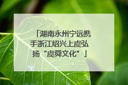 湖南永州宁远携手浙江绍兴上虞弘扬“虞舜文化”