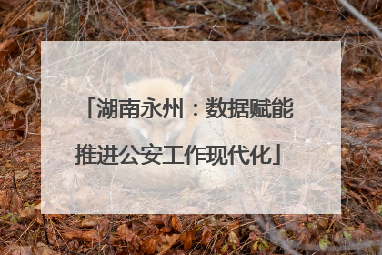湖南永州：数据赋能推进公安工作现代化
