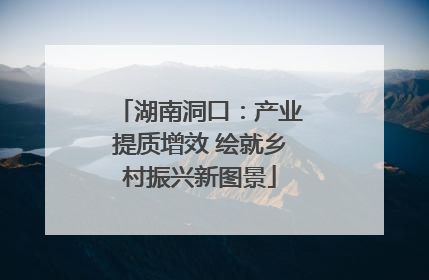 湖南洞口：产业提质增效 绘就乡村振兴新图景