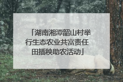 湖南湘潭韶山村举行生态农业共富责任田插秧助农活动