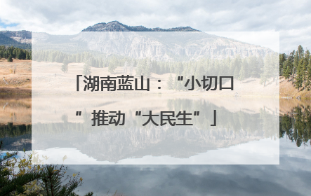 湖南蓝山：“小切口”推动“大民生”