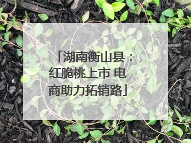 湖南衡山县：红脆桃上市 电商助力拓销路