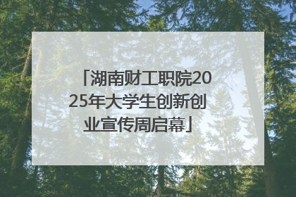 湖南财工职院2025年大学生创新创业宣传周启幕