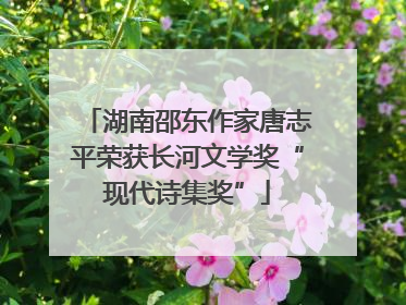湖南邵东作家唐志平荣获长河文学奖“现代诗集奖”