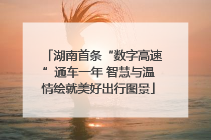 湖南首条“数字高速”通车一年 智慧与温情绘就美好出行图景