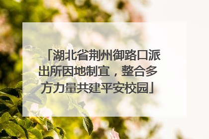 湖北省荆州御路口派出所因地制宜，整合多方力量共建平安校园