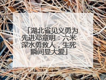 湖北省见义勇为先进邓章明：六米深水勇救人，生死瞬间显大爱