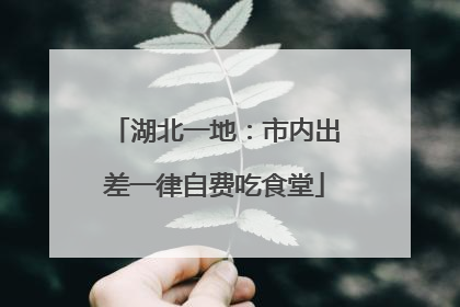 湖北一地：市内出差一律自费吃食堂
