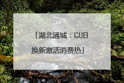 湖北通城：以旧换新激活消费热