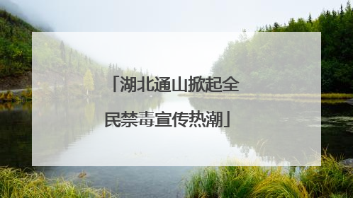 湖北通山掀起全民禁毒宣传热潮