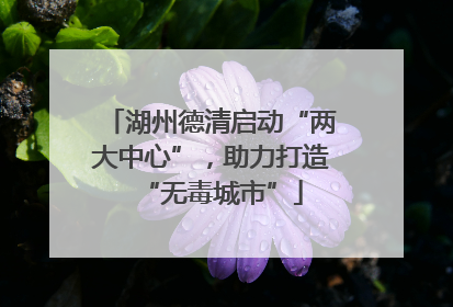 湖州德清启动“两大中心”，助力打造“无毒城市”