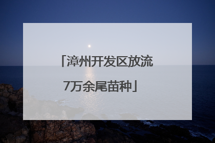 漳州开发区放流7万余尾苗种