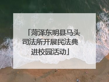 菏泽东明县马头司法所开展民法典进校园活动