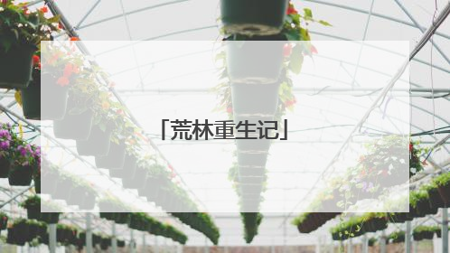 荒林重生记