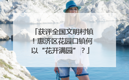 获评全国文明村镇！惠济区花园口镇何以“花开满园”？