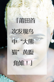 莆田首次发现鸟中“大熊猫”黄腹角雉！