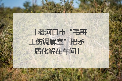 老河口市“毛哥工伤调解室”把矛盾化解在车间