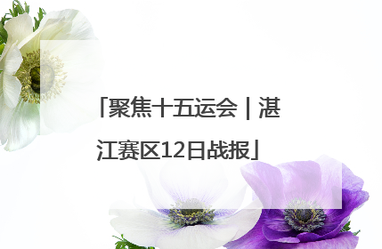 聚焦十五运会｜湛江赛区12日战报
