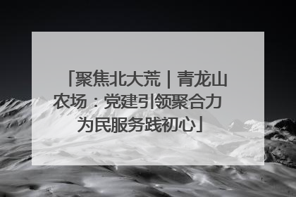 聚焦北大荒｜青龙山农场：党建引领聚合力 为民服务践初心