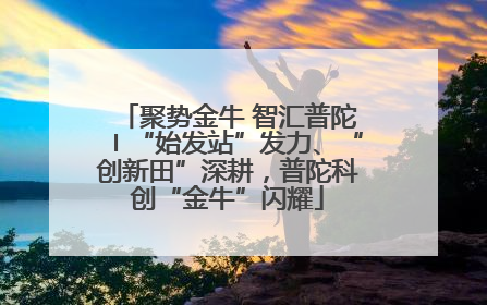 聚势金牛 智汇普陀〡“始发站”发力、“创新田”深耕，普陀科创“金牛”闪耀