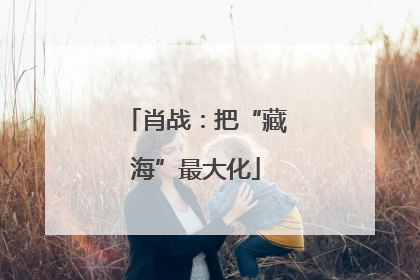 肖战：把“藏海”最大化