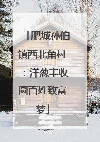 肥城孙伯镇西北角村：洋葱丰收圆百姓致富梦