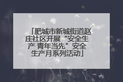 肥城市新城街道赵庄社区开展“安全生产 青年当先”安全生产月系列活动