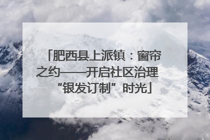 肥西县上派镇：窗帘之约——开启社区治理“银发订制”时光