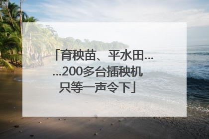 育秧苗、平水田……200多台插秧机只等一声令下