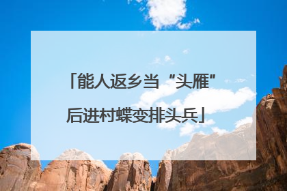 能人返乡当“头雁” 后进村蝶变排头兵