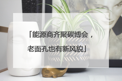 能源商齐聚碳博会，老面孔也有新风貌
