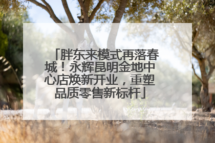 胖东来模式再落春城！永辉昆明金地中心店焕新开业，重塑品质零售新标杆