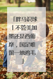 胖马识球丨不管美加墨还是西葡摩，国足唯留一地鸡毛