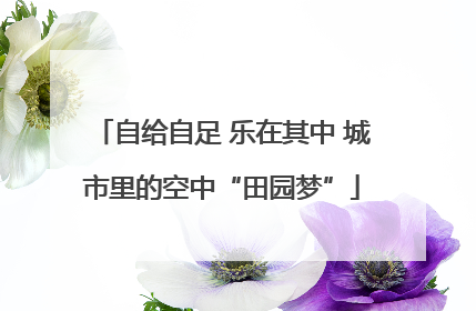 自给自足 乐在其中 城市里的空中“田园梦”