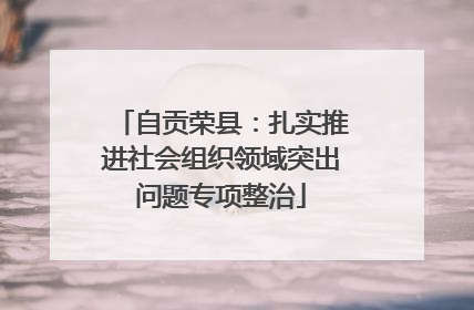 自贡荣县：扎实推进社会组织领域突出问题专项整治
