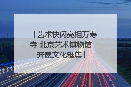 艺术快闪亮相万寿寺 北京艺术博物馆开展文化雅集