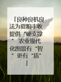 良种良机良法为夏粮丰收提供“硬支撑” 农业现代化图景有“智”更有“质”