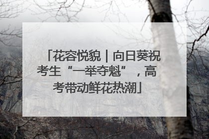 花容悦貌｜向日葵祝考生“一举夺魁”，高考带动鲜花热潮