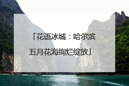 花语冰城：哈尔滨五月花海绚烂绽放