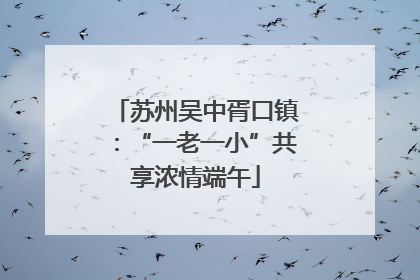 苏州吴中胥口镇：“一老一小”共享浓情端午