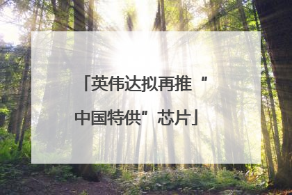 英伟达拟再推“中国特供”芯片