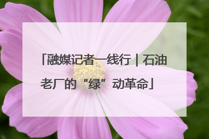 融媒记者一线行｜石油老厂的“绿”动革命