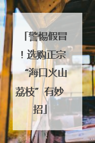 警惕假冒！选购正宗“海口火山荔枝”有妙招