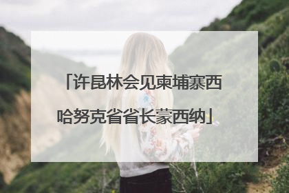 许昆林会见柬埔寨西哈努克省省长蒙西纳