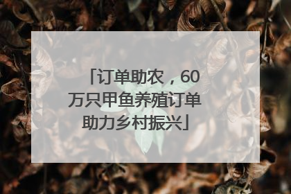 订单助农，60万只甲鱼养殖订单助力乡村振兴