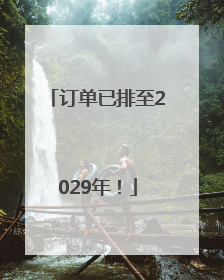 订单已排至2029年！