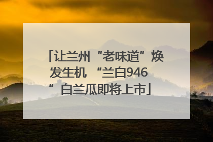 让兰州“老味道”焕发生机 “兰白946”白兰瓜即将上市