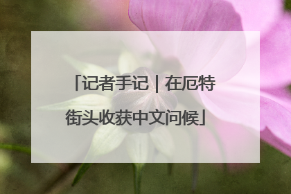 记者手记｜在厄特街头收获中文问候