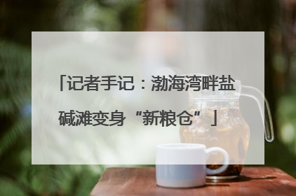 记者手记：渤海湾畔盐碱滩变身“新粮仓”